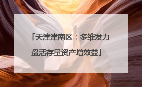 天津津南区：多维发力盘活存量资产增效益