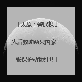 太原：警民携手 先后救助两只国家二级保护动物红隼