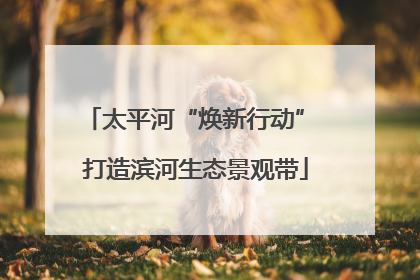 太平河“焕新行动” 打造滨河生态景观带