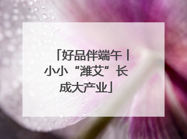 好品伴端午丨小小“潍艾”长成大产业