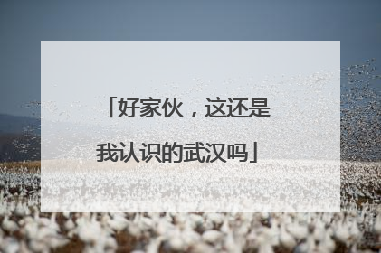 好家伙，这还是我认识的武汉吗