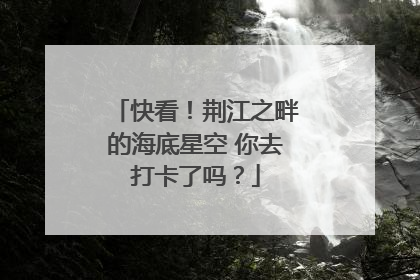 快看！荆江之畔的海底星空 你去打卡了吗？