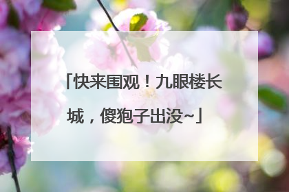 快来围观！九眼楼长城，傻狍子出没~
