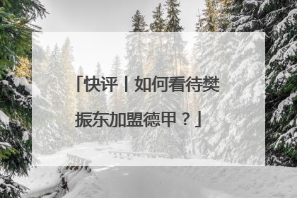 快评丨如何看待樊振东加盟德甲？