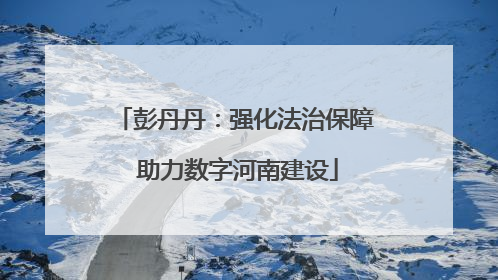 彭丹丹：强化法治保障 助力数字河南建设