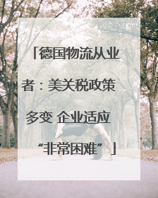 德国物流从业者：美关税政策多变 企业适应“非常困难”