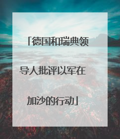 德国和瑞典领导人批评以军在加沙的行动