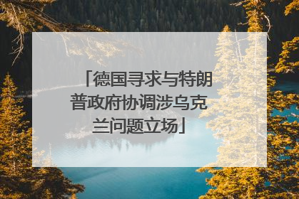 德国寻求与特朗普政府协调涉乌克兰问题立场