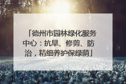 德州市园林绿化服务中心：抗旱、修剪、防治，精细养护保绿荫