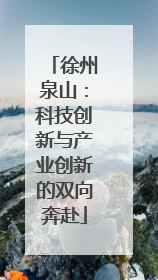徐州泉山：科技创新与产业创新的双向奔赴