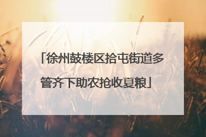 徐州鼓楼区拾屯街道多管齐下助农抢收夏粮