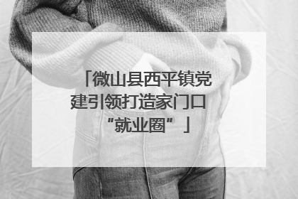 微山县西平镇党建引领打造家门口“就业圈”