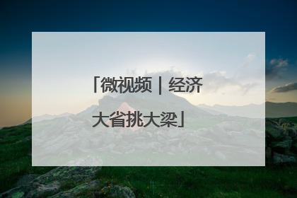 微视频｜经济大省挑大梁
