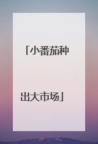 小番茄种出大市场