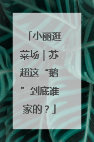 小丽逛菜场｜苏超这“鹅”到底谁家的？