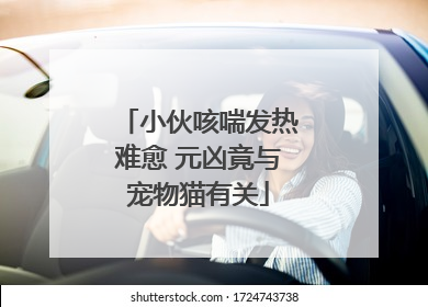 小伙咳喘发热难愈 元凶竟与宠物猫有关