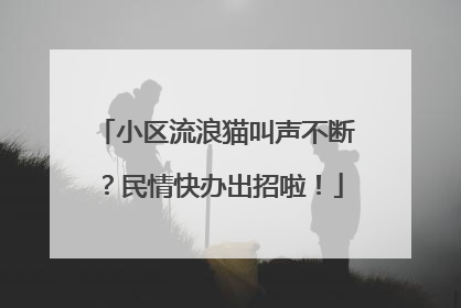 小区流浪猫叫声不断？民情快办出招啦！