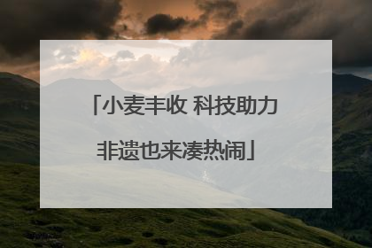 小麦丰收 科技助力 非遗也来凑热闹