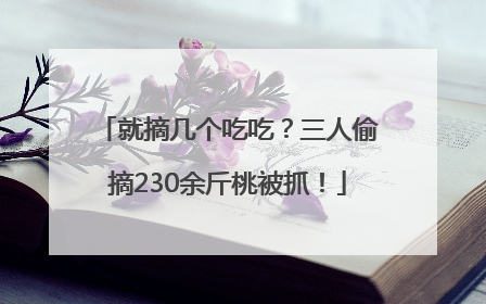 就摘几个吃吃？三人偷摘230余斤桃被抓！