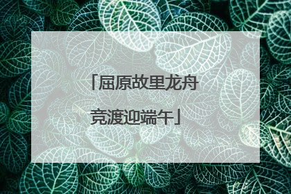 屈原故里龙舟竞渡迎端午