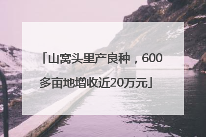 山窝头里产良种，600多亩地增收近20万元