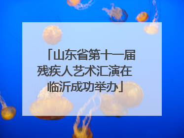 山东省第十一届残疾人艺术汇演在临沂成功举办