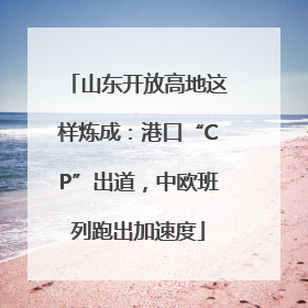 山东开放高地这样炼成：港口“CP”出道，中欧班列跑出加速度