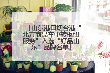 山东港口烟台港“北方商品车中转枢纽服务”入选“好品山东”品牌名单