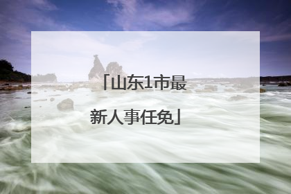 山东1市最新人事任免