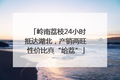 岭南荔枝24小时抵达湖北，产销两旺性价比真“给荔”