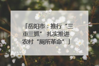 岳阳市：推行“三重三抓” 扎实推进农村“厕所革命”