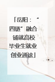 岳阳：“四链”融合 铺就高校毕业生就业创业通途