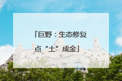 巨野：生态修复点“土”成金