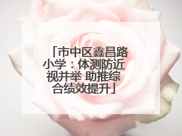 市中区鑫昌路小学：体测防近视并举 助推综合绩效提升