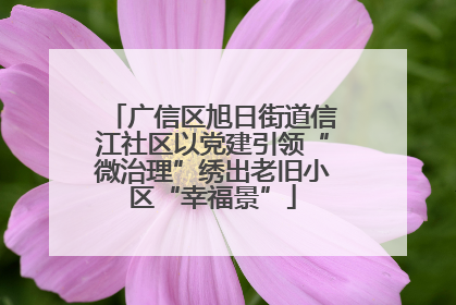 广信区旭日街道信江社区以党建引领“微治理”绣出老旧小区“幸福景”