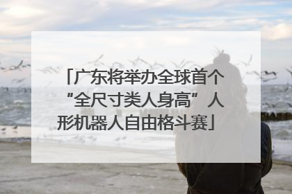广东将举办全球首个“全尺寸类人身高”人形机器人自由格斗赛