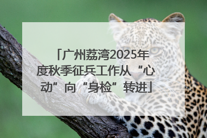 广州荔湾2025年度秋季征兵工作从“心动”向“身检”转进