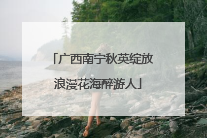 广西南宁秋英绽放 浪漫花海醉游人