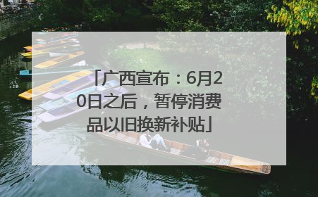 广西宣布：6月20日之后，暂停消费品以旧换新补贴