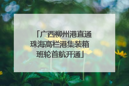 广西柳州港直通珠海高栏港集装箱班轮首航开通
