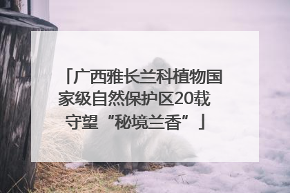 广西雅长兰科植物国家级自然保护区20载守望“秘境兰香”