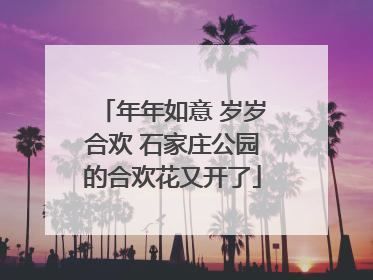 年年如意 岁岁合欢 石家庄公园的合欢花又开了