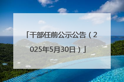 干部任前公示公告（2025年5月30日）