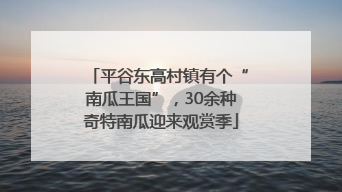 平谷东高村镇有个“南瓜王国”，30余种奇特南瓜迎来观赏季