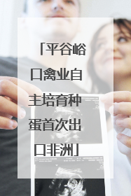 平谷峪口禽业自主培育种蛋首次出口非洲