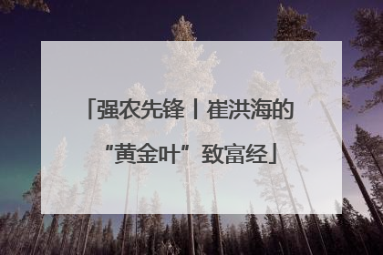 强农先锋丨崔洪海的“黄金叶”致富经