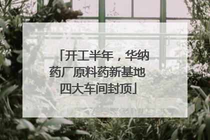 开工半年，华纳药厂原料药新基地四大车间封顶