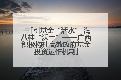 引基金“活水” 润八桂“沃土”——广西积极构建高效政府基金投资运作机制