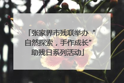 张家界市残联举办“自然探索，手作成长”助残日系列活动