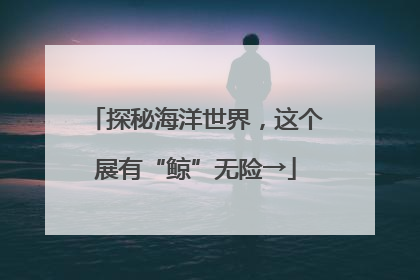 探秘海洋世界，这个展有“鲸”无险→